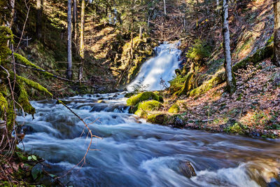 Stream flowing through rocks in forest