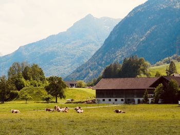 Scenic view of landscape against mountains