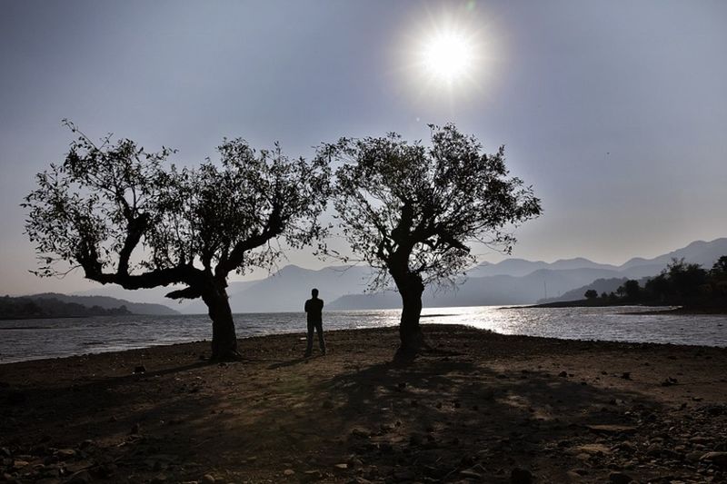 SILHOUETTE TREES ON SHORE AGAINST SKY