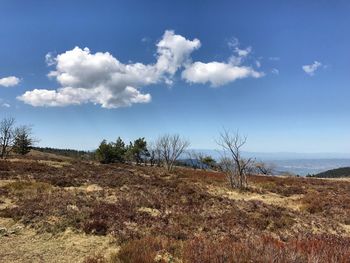 Scenic view of landscape against sky