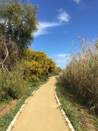 Road amidst trees against sky