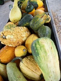 Close-up of pumpkins for sale at market