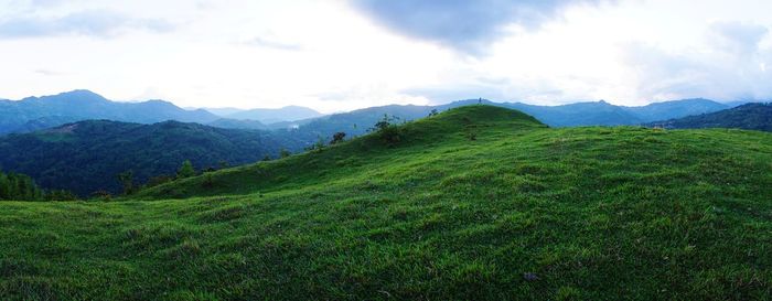 Scenic view of landscape against sky