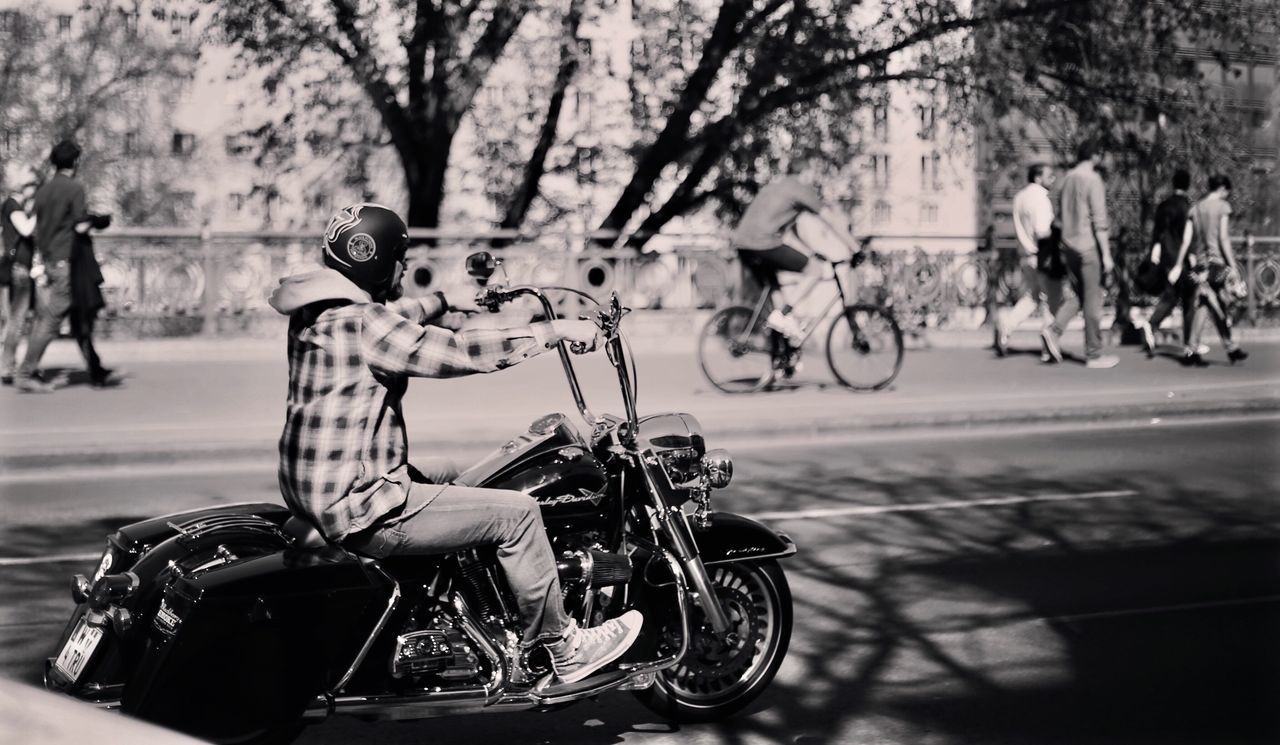 motorcycle, land vehicle, outdoors, men, tree, one person, adults only, headwear, real people, people, day, adult, human body part, motorcycle racing