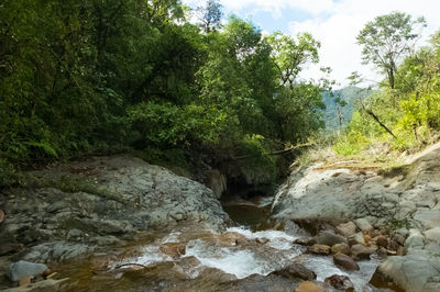 Scenic view of waterfall in forest against sky