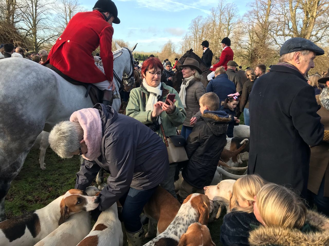 large group of people, real people, men, day, mammal, togetherness, domestic animals, outdoors, tree, sky, people