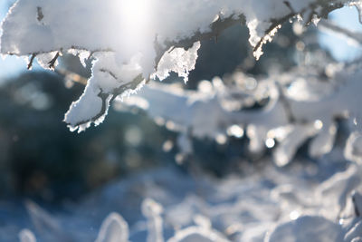 winter