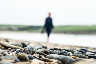 Rear view of person walking on beach
