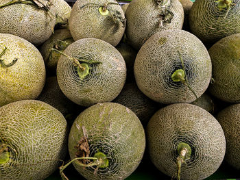 Whole melon, honeydew melon or honeydew melon and food texture close up. melon at the supermarket.