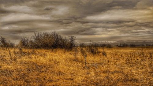 Scenic view of field against cloudy sky