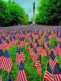 Multi colored flag in cemetery