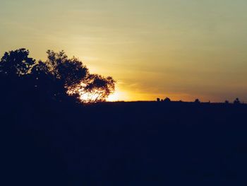 Silhouette trees on landscape against sky at sunset