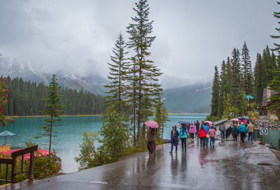 Rear view of people on mountain by trees against sky