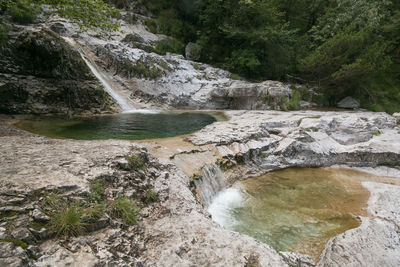 Scenic view of waterfall in forest