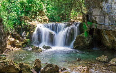 Scenic view of waterfall in forest