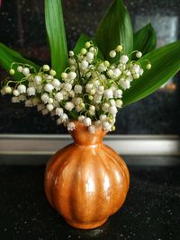 Close-up of vegetables