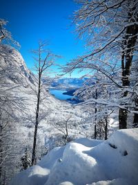 snow