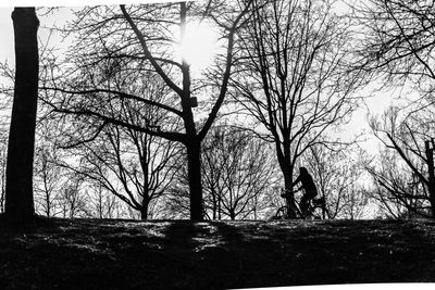 Silhouette bare trees on field against sky