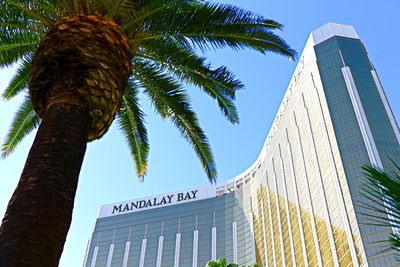 Low angle view of palm tree against modern building