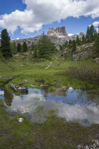 Scenic view of landscape against sky