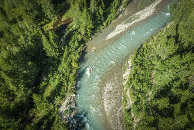 High angle view of waterfall in forest