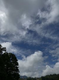 Low angle view of trees against sky