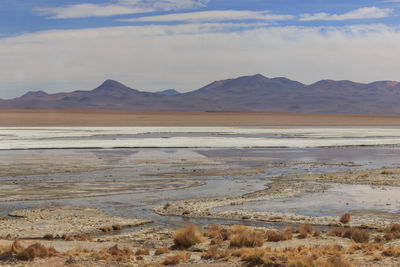 Scenic view of desert against sky