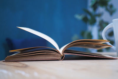 Close-up of plant on table