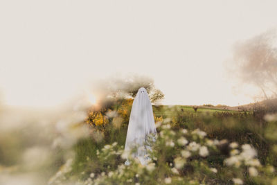 Ghost woman standing in field at sunset