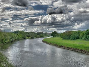 Scenic view of river amidst trees against sky