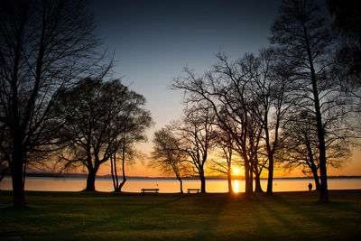 Silhouette bare trees against sky during sunset