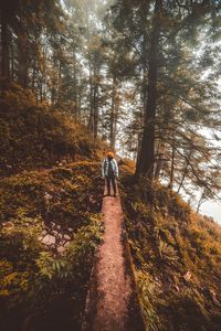 Rear view of woman walking in forest during autumn