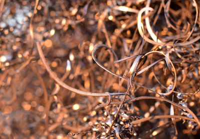 Full frame shot of metal shavings