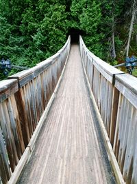 Wooden footbridge leading towards forest