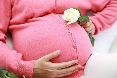 Midsection of woman holding pink roses