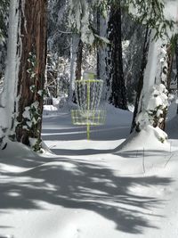 Snow covered land and trees during winter