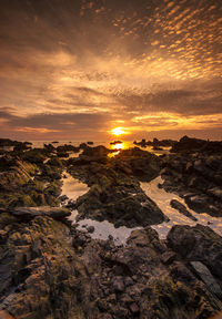 Scenic view of landscape against sky during sunset
