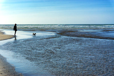 Scenic view of person with dog at beach