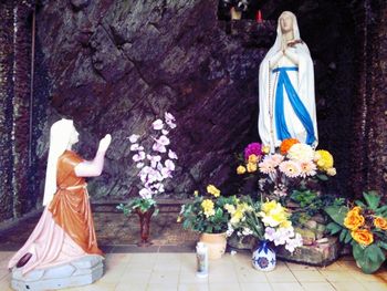 Close-up of woman holding flowers