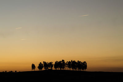 Silhouette of trees at sunset