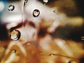 Close-up of water drops on glass