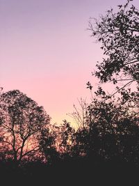 Low angle view of silhouette trees against sky at sunset