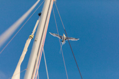Low angle view of seagull flying by sailboat mast against sky
