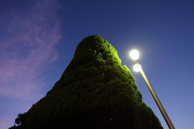 Low angle view of tree against blue sky
