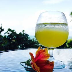 Low angle view of drink in wineglass on table