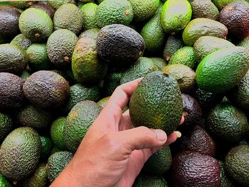 Hand holding fruits for sale at market