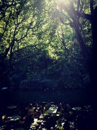 Group of people in the forest