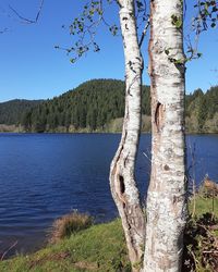 Scenic view of lake against clear sky