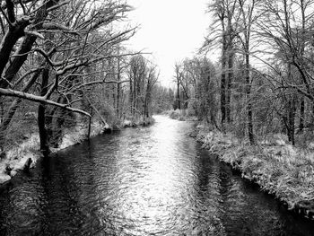 River amidst bare trees against clear sky