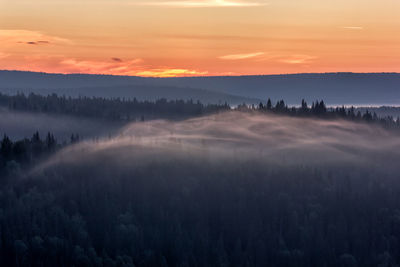 Panoramic shot of trees on landscape against sunset sky